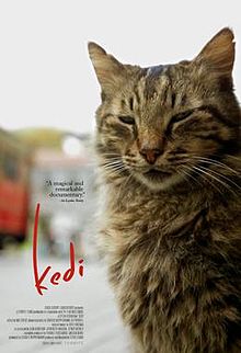 Films with Cats / My Movie Night List